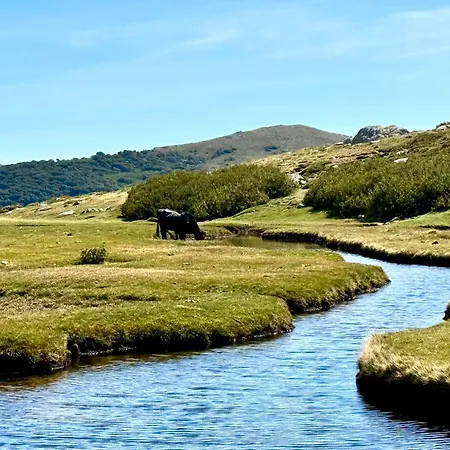 Willa Tres Belle Avec Piscine Chauffee Casaleoni Prunelli-di-Fiumorbo