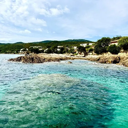 Tres Belle Avec Piscine Chauffee Casaleoni Willa