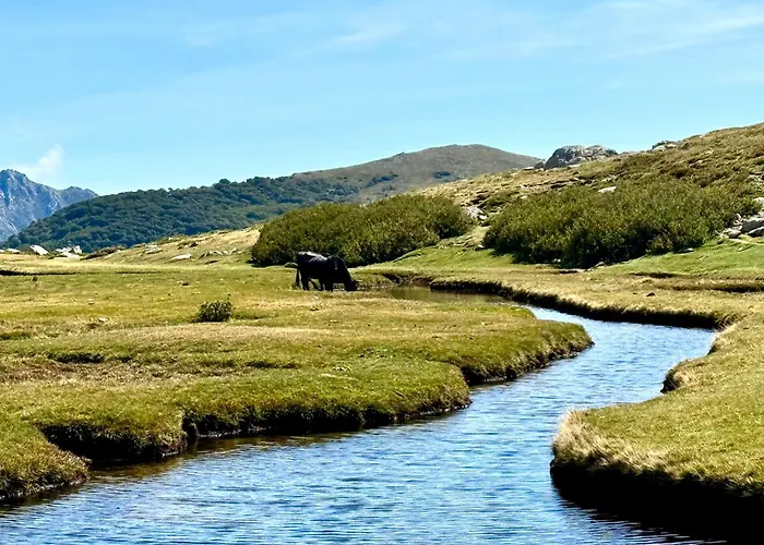 Vila Tres Belle Avec Piscine Chauffee Casaleoni Prunelli-di-Fiumorbo